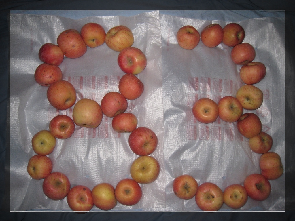 ̨ƻ׸83