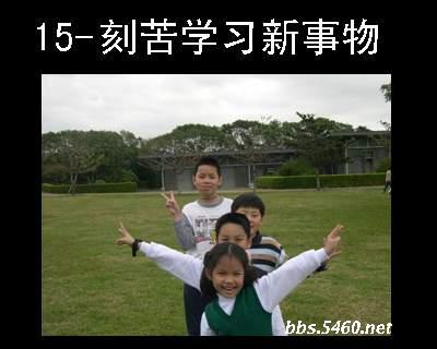 15q.jpg