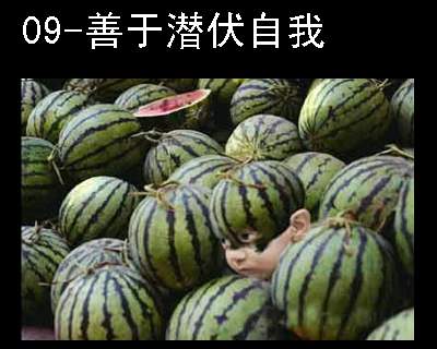 8q.jpg