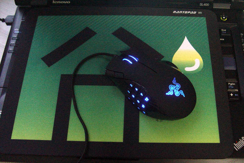 ���׵���������������棬���������Σ�