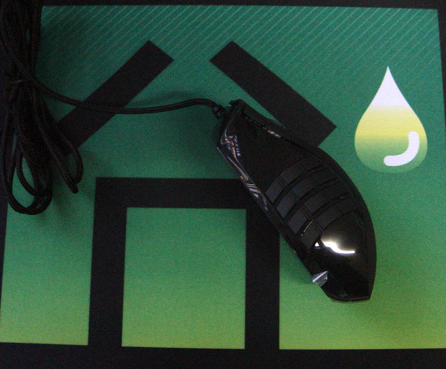 ���׵���������������棬���������Σ�