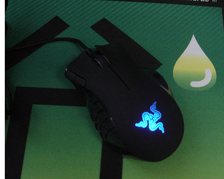 ���׵���������������棬���������Σ�