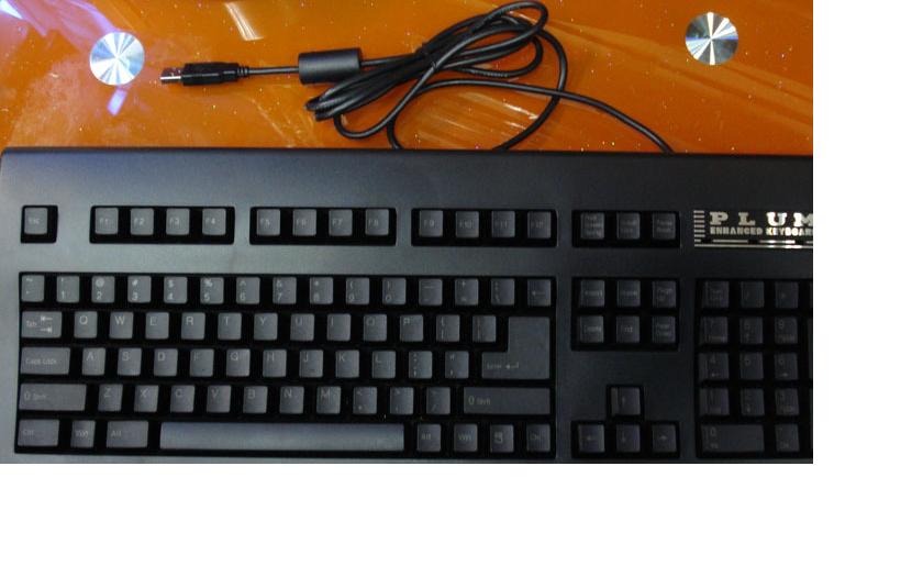 PLUM���Ź� �Ѿ����������췢�������ڽ��ܶ�����