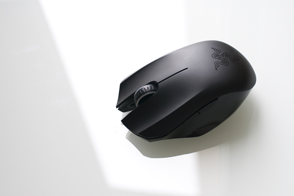 �����������... һֻ�����С��