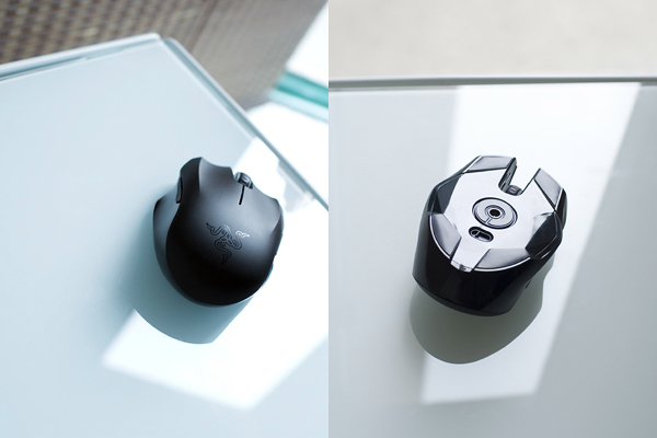 �����������... һֻ�����С��