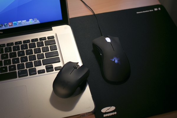 �����������... һֻ�����С��