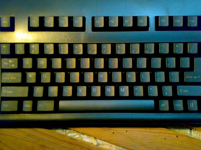 �Ź���PLUM�����յ��ˣ��о���������ûת�ӿڡ��������е���������