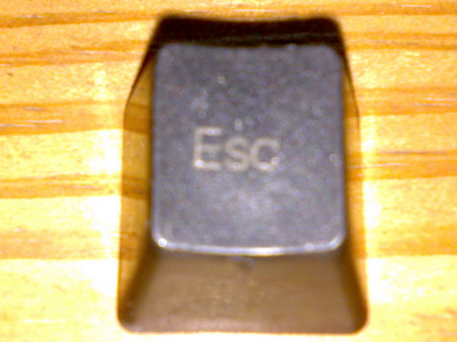 �Ź���PLUM�����յ��ˣ��о���������ûת�ӿڡ��������е���������