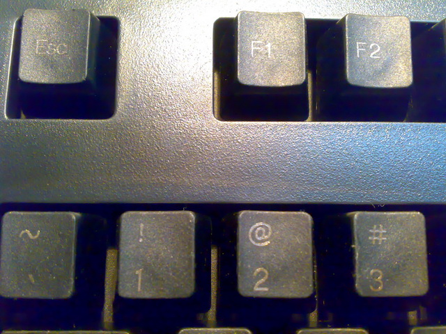 �Ź���PLUM�����յ��ˣ��о���������ûת�ӿڡ��������е���������