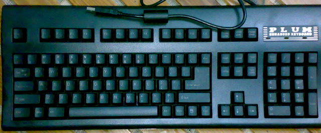 �Ź���PLUM�����յ��ˣ��о���������ûת�ӿڡ��������е���������