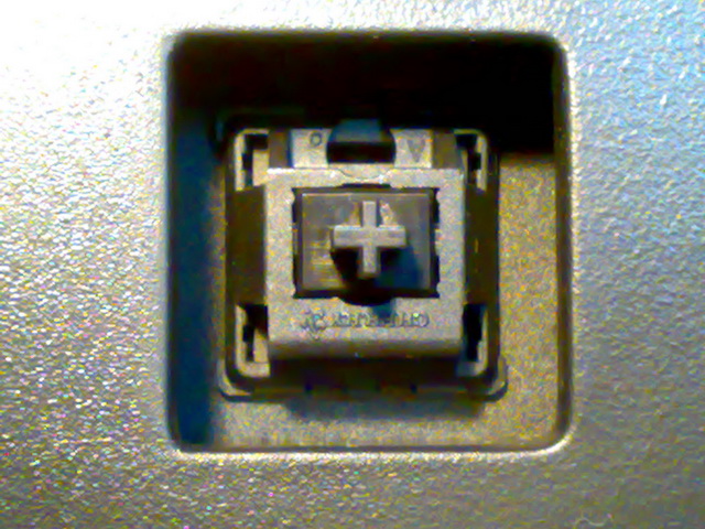 �Ź���PLUM�����յ��ˣ��о���������ûת�ӿڡ��������е���������