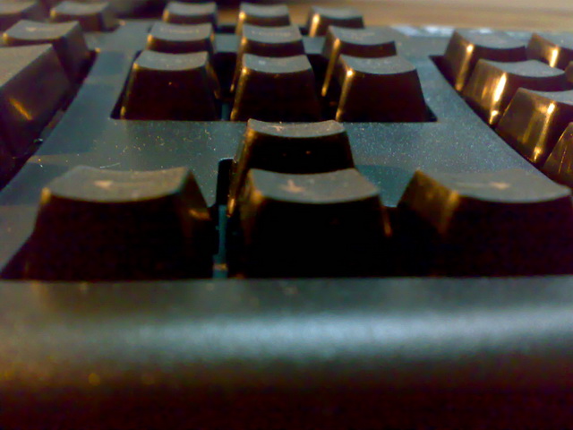 �Ź���PLUM�����յ��ˣ��о���������ûת�ӿڡ��������е���������