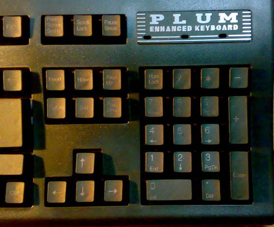 �Ź���PLUM�����յ��ˣ��о���������ûת�ӿڡ��������е���������