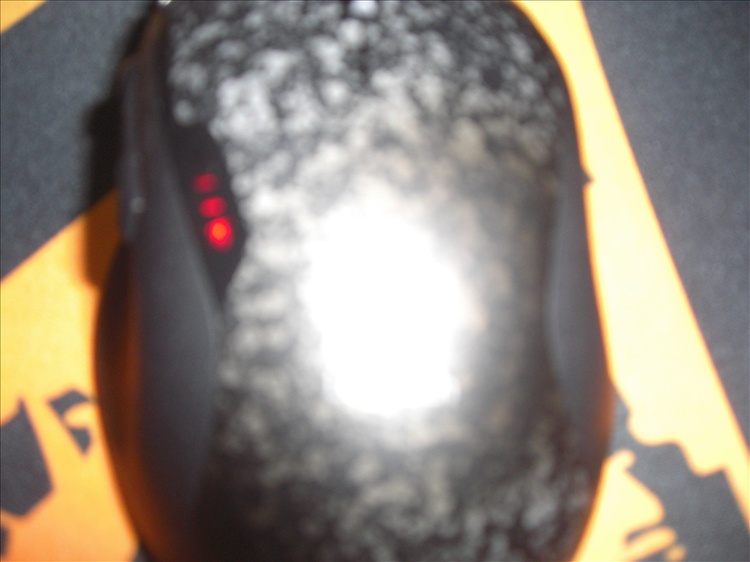 2157224221511915256.jpg