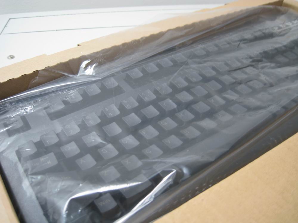 PLUM�Ź�ȷ�ϵ���ͳ�ƻ�����ַ �����Ѿ�����,�����������ȷ��