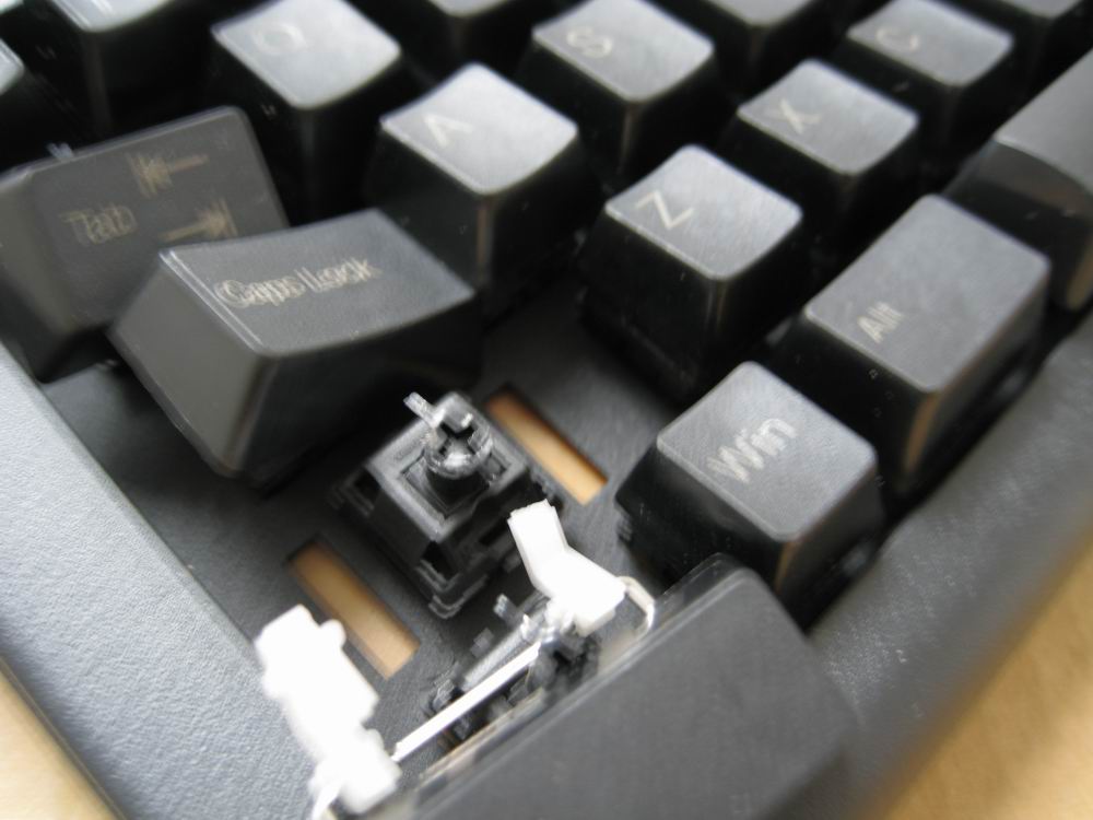 PLUM�Ź�ȷ�ϵ���ͳ�ƻ�����ַ �����Ѿ�����,�����������ȷ��