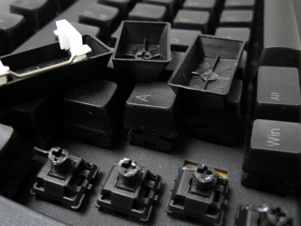 PLUM�Ź�ȷ�ϵ���ͳ�ƻ�����ַ �����Ѿ�����,�����������ȷ��