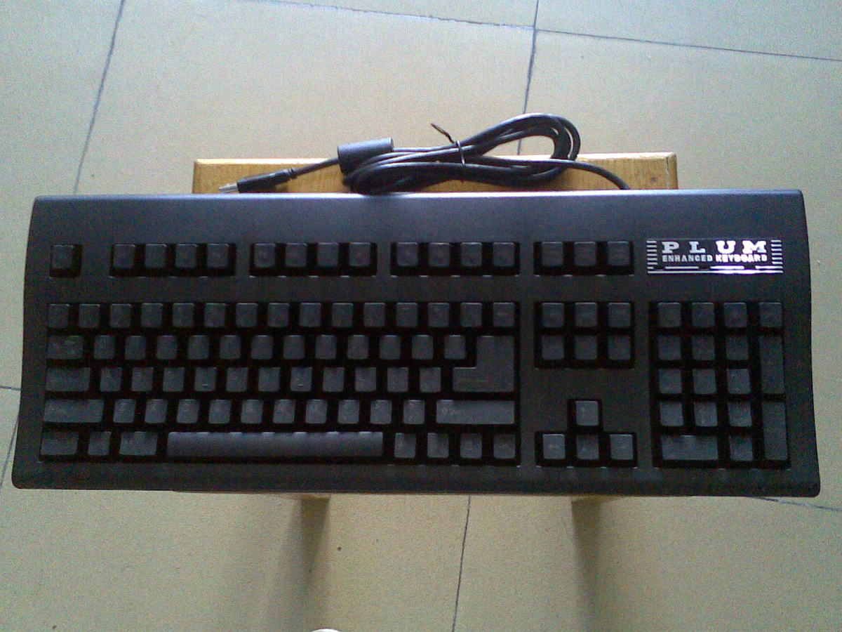 ������������~�����ҵ��Ź�plum���̺����ڵ���~