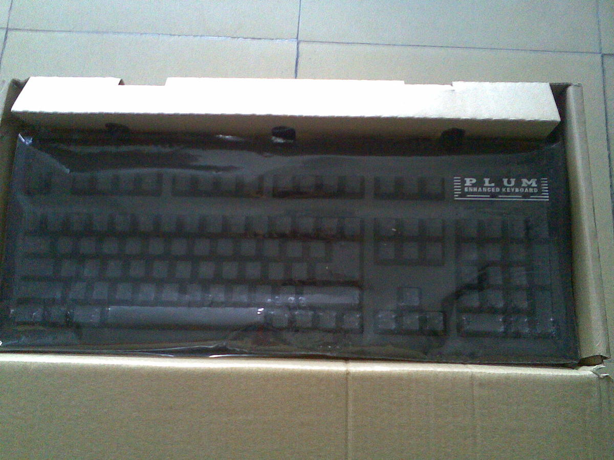 ������������~�����ҵ��Ź�plum���̺����ڵ���~