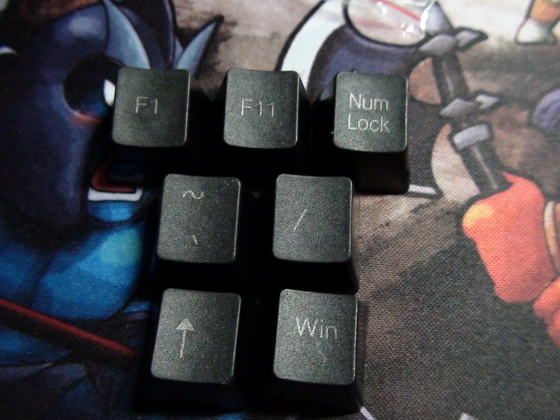PLUM PBT Ź  ѵ֣³Ҳĵļñ