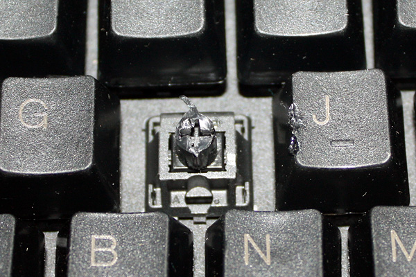 PLUM�Ź�ȷ�ϵ���ͳ�ƻ�����ַ �����Ѿ�����,�����������ȷ��