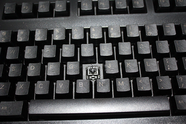 PLUM�Ź�ȷ�ϵ���ͳ�ƻ�����ַ �����Ѿ�����,�����������ȷ��