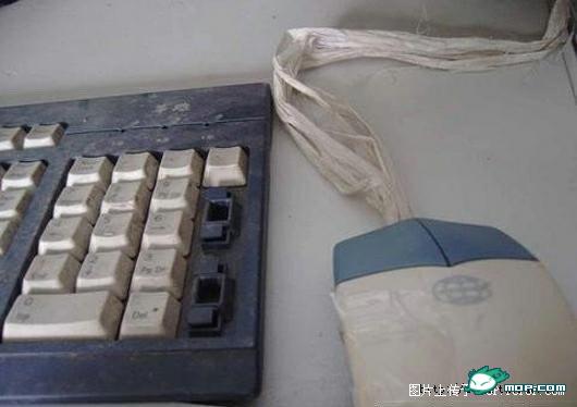 ţX��ʷ��������������