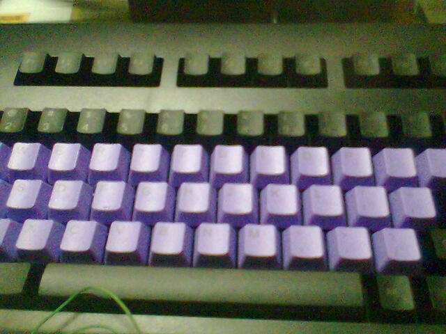 �Ź���PLUM�ڵ��˵�ȷ������������KBC��ñ