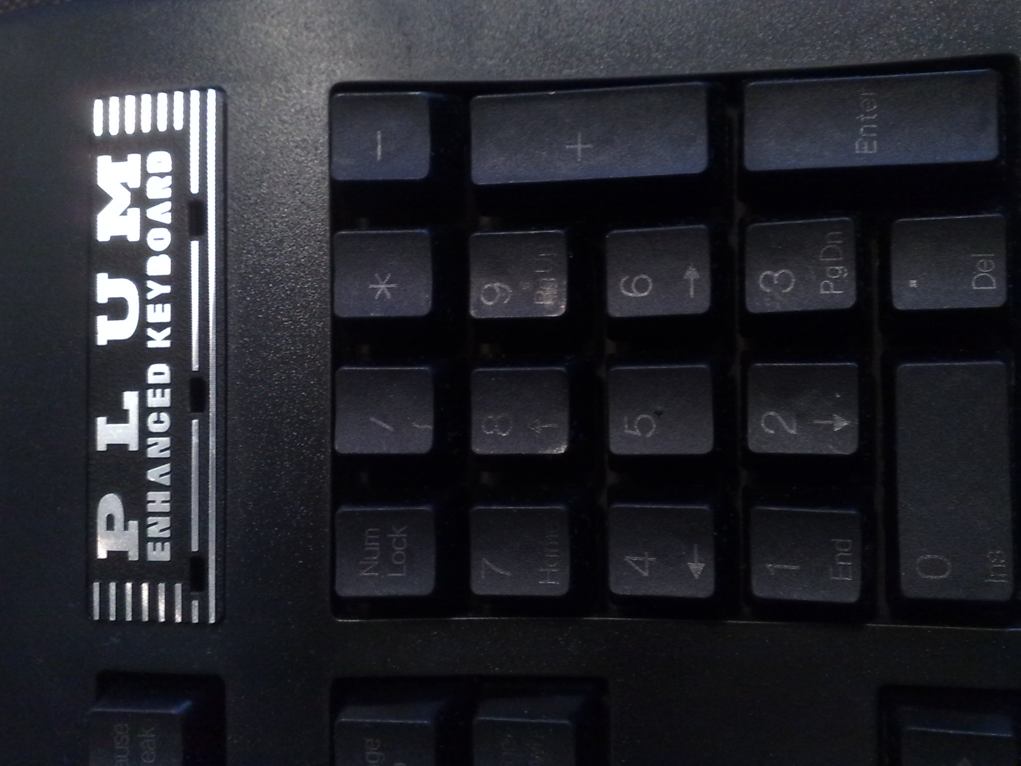 PLUM�Ź�ȷ�ϵ���ͳ�ƻ�����ַ �����Ѿ�����,�����������ȷ��