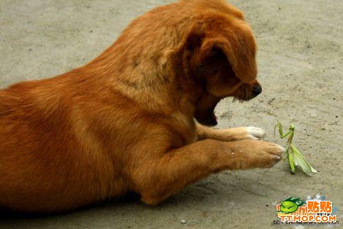 ���ִ�ս��ʵ���ݣ�ʵ��С����ս��루ͼ�Ľ�˵��