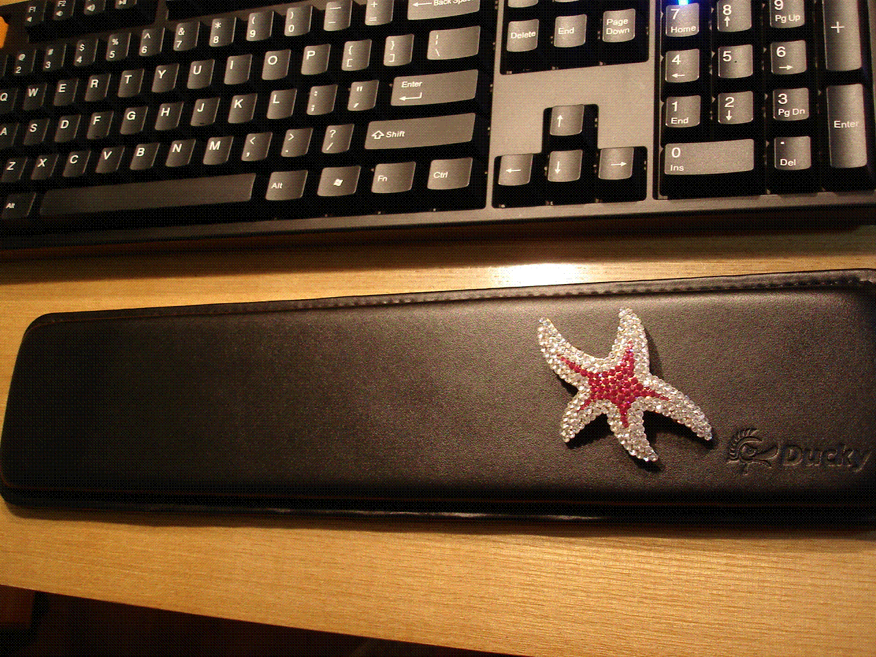 c1.GIF