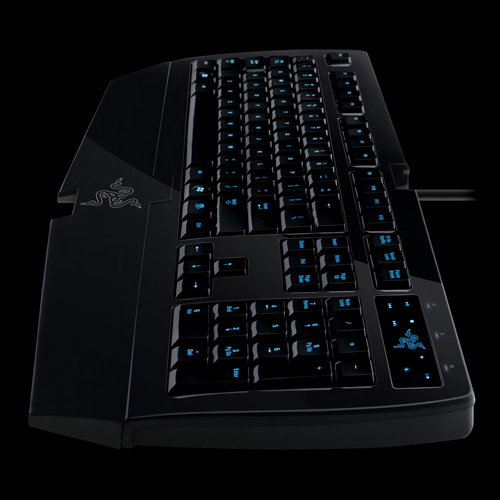 ʲô���̺ÿ���������������