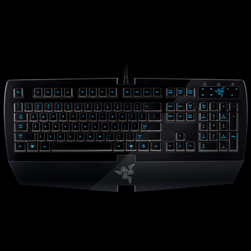 ʲô���̺ÿ���������������