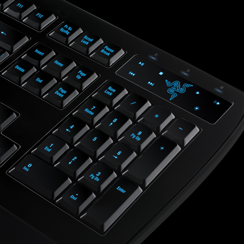 ʲô���̺ÿ���������������