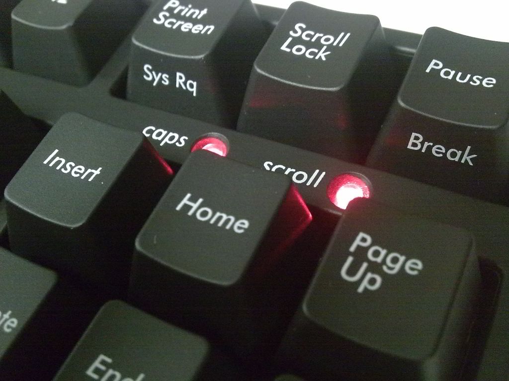 �����е���̵Ĵ��ͥ��FILCO 80%������������