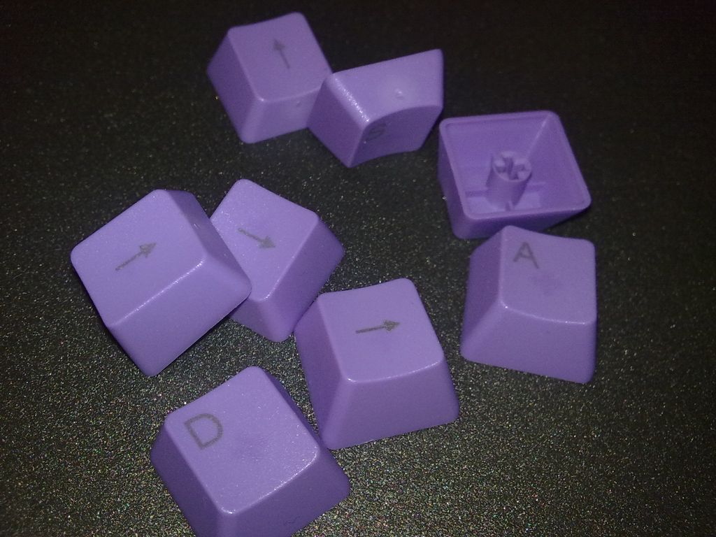 �����е���̵Ĵ��ͥ��FILCO 80%������������