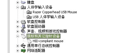 �ʸ�ͭ��������������