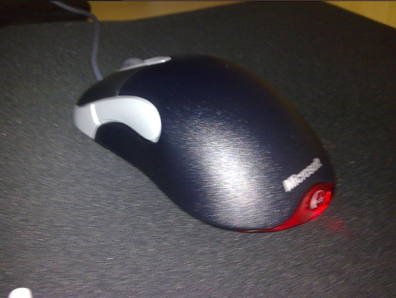 ȥʵ꣬˸IOɣ