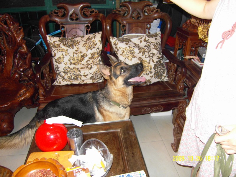 �������Ĵ���Ӱ������ҵ�ˣ�