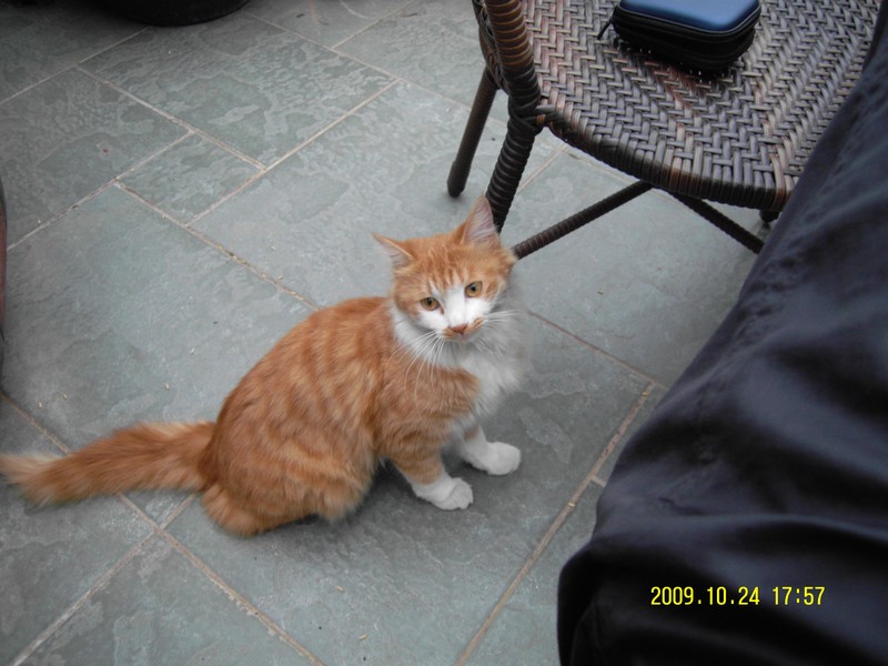 �������Ĵ���Ӱ������ҵ�ˣ�