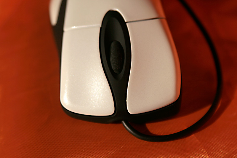 _MG_2787.jpg