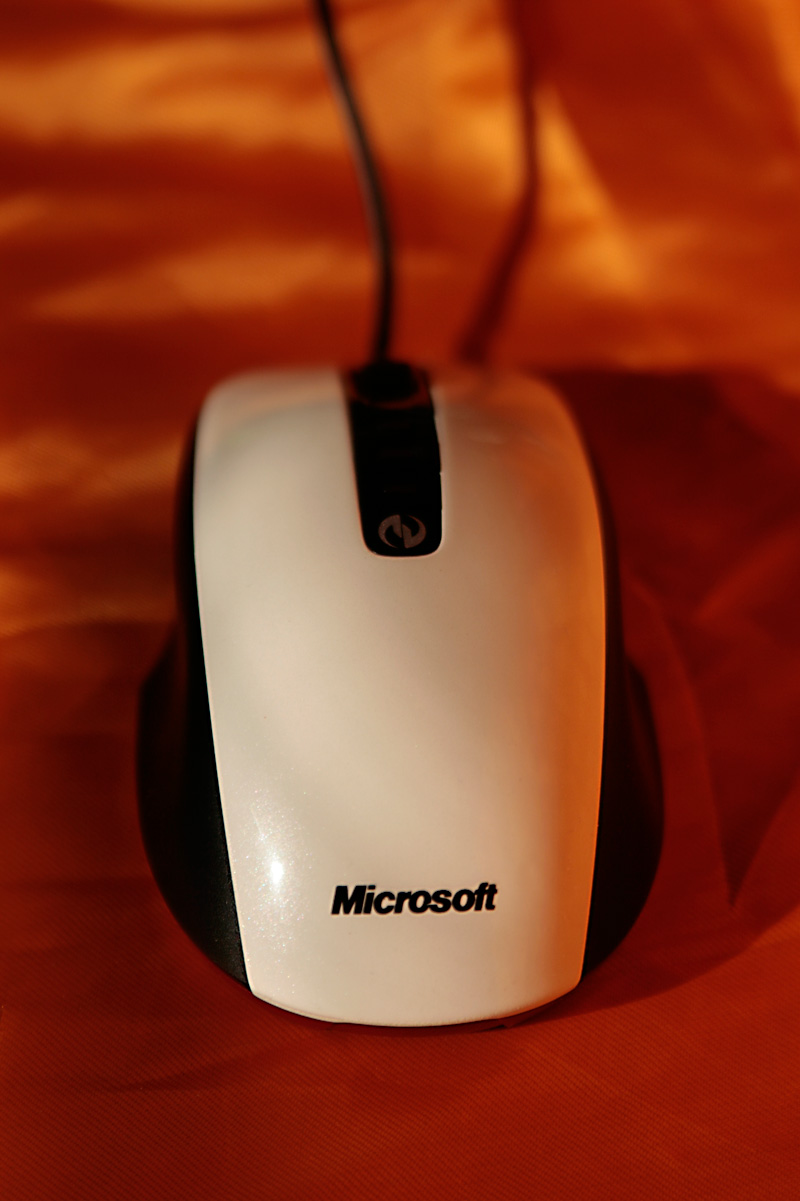 _MG_2735.jpg
