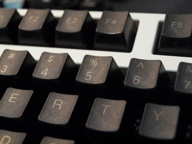 �°�plum pbt���ʼ�ñ�����ּ�