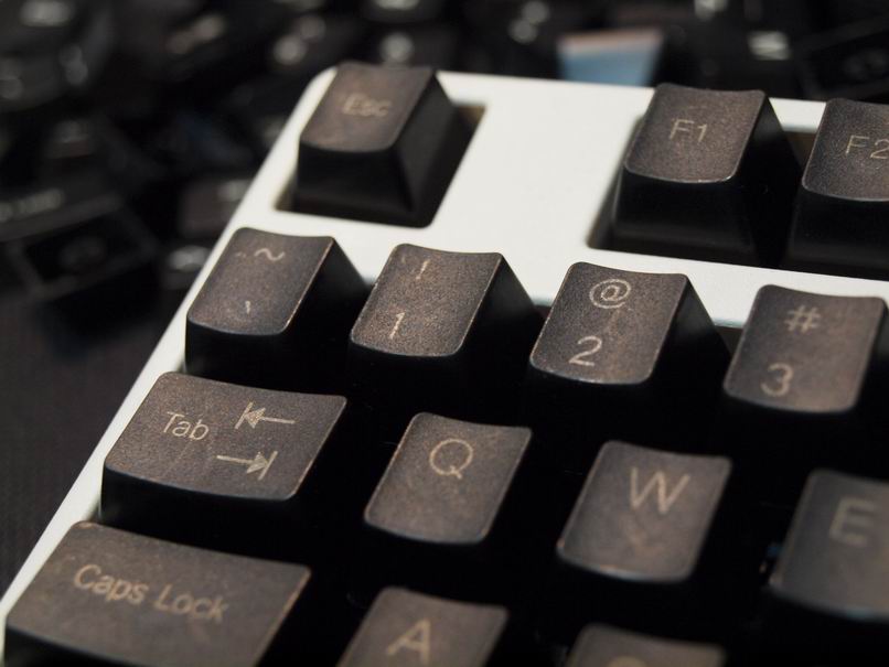 �°�plum pbt���ʼ�ñ�����ּ�