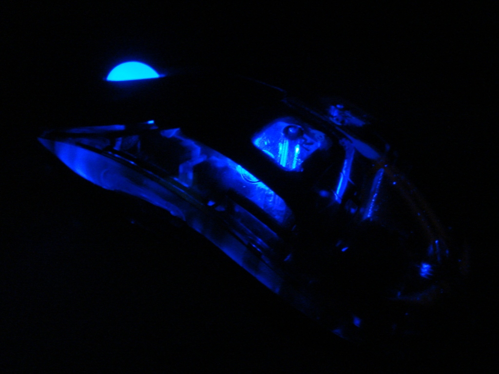 DSC08466.JPG