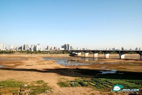 ��ע���ǵĵ���ĸ�ף���Ҫ���������˺��ˡ���ת��MOP����ͼ���룩