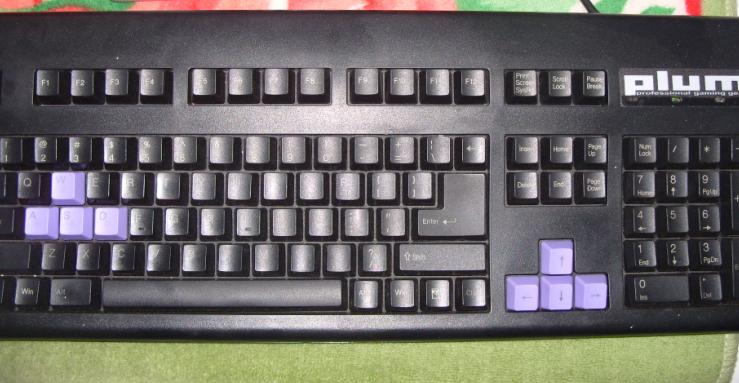plum3.jpg