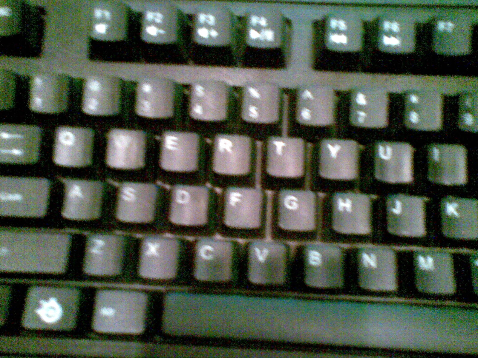 20091216(001).jpg
