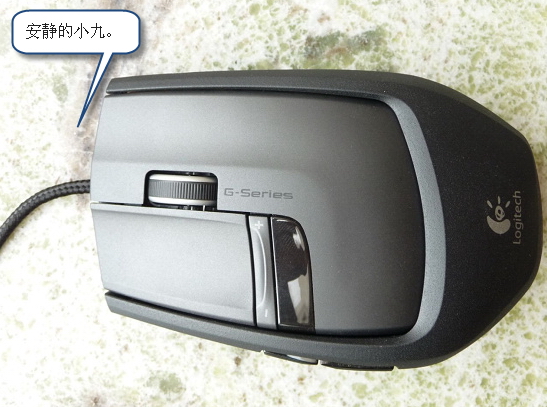 g9x10.jpg