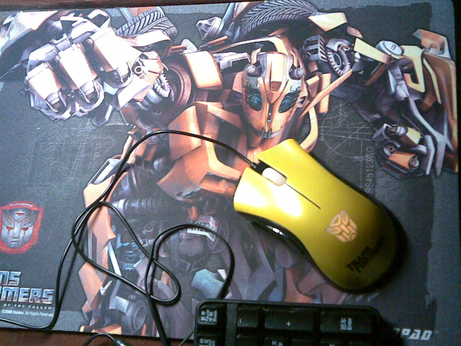 ����ı��ν����װ ����Ʒ䣩 SHOW һSHOW